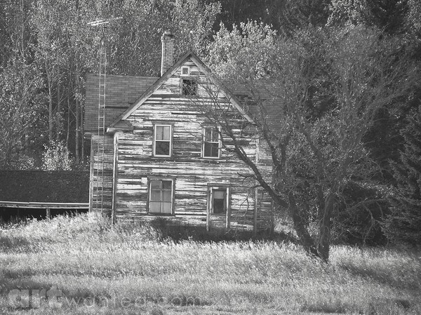 PA044119