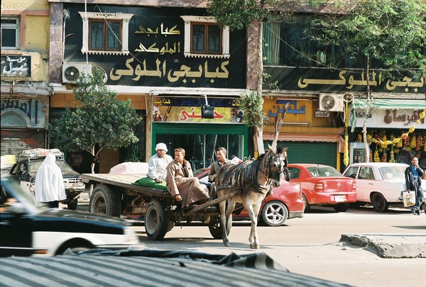 Donkey Cart II