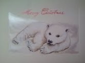polar bear