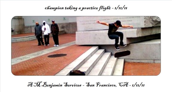 Champion in Flight