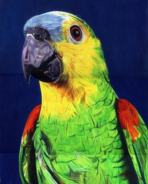Parrot