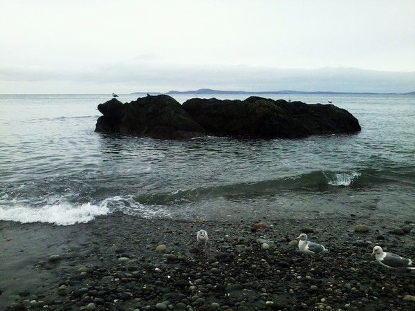 Island