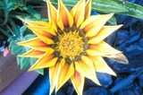 AR20080714 000204