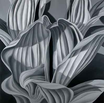 Corn Lily