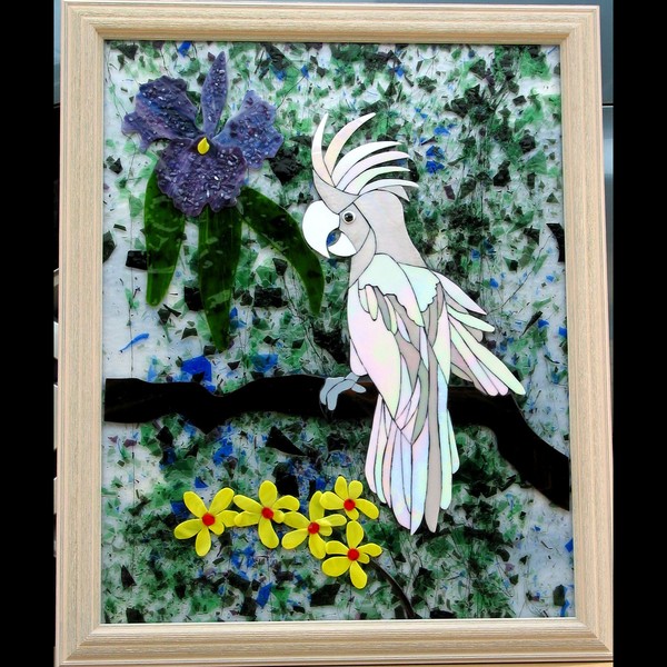 cockatoo