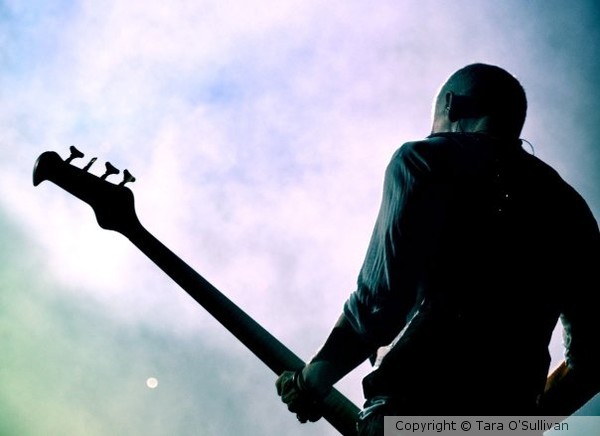 Bassist