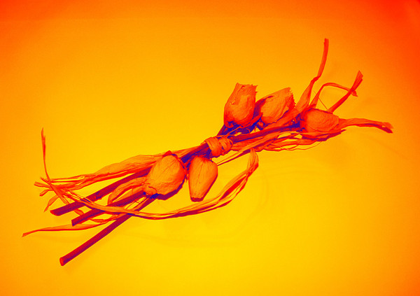 striking flowers