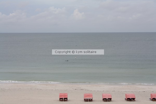 Five Chairs, Two Dolphins