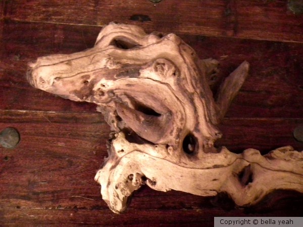 dragon driftwood