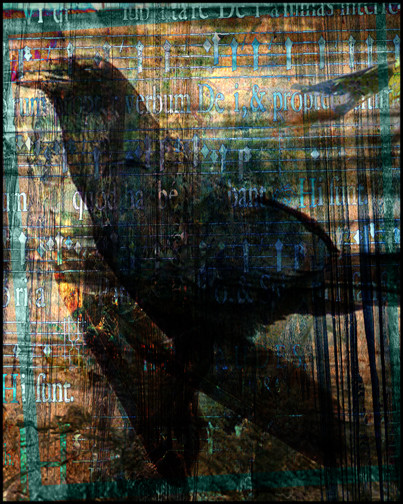Lost songs of a Raven