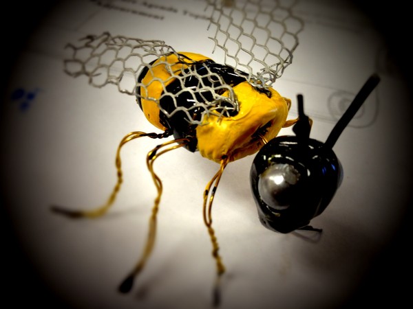 honey bee