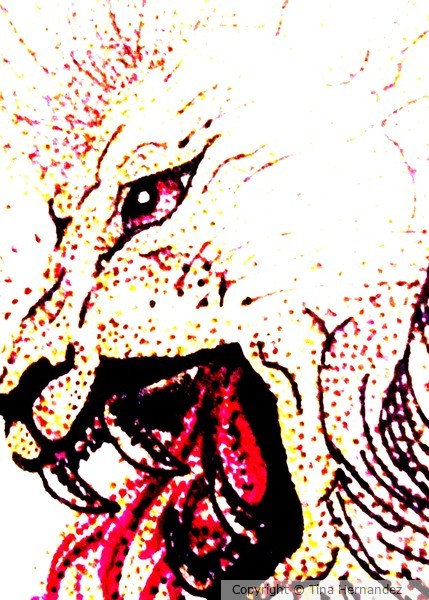 Leo
