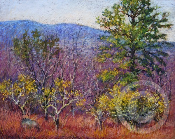 Mountains in March