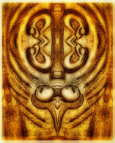Womb