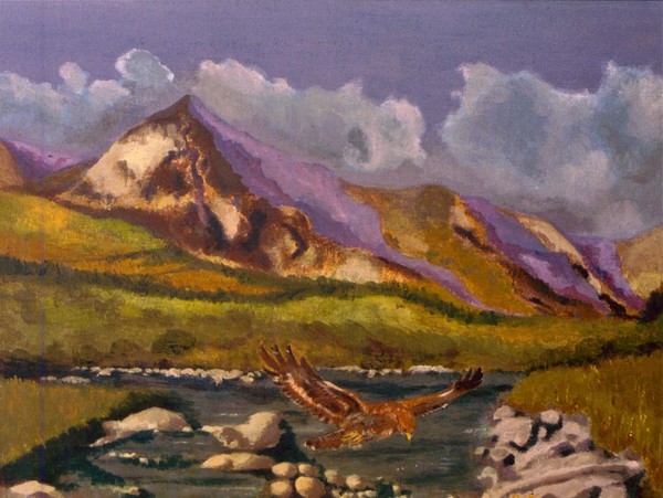 bird hunt