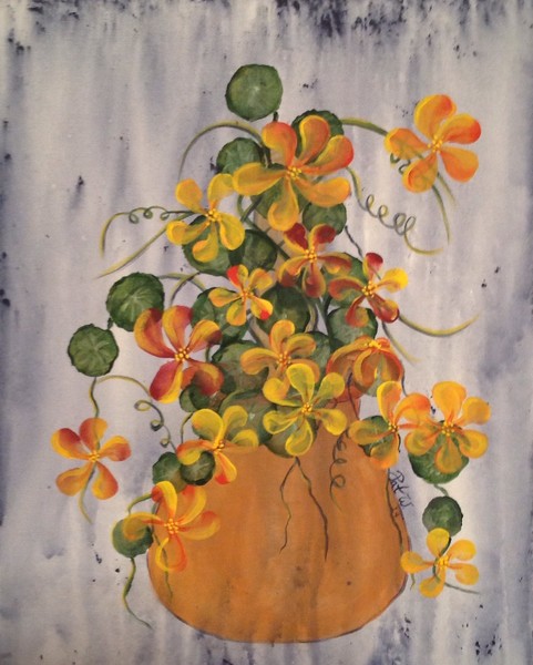 Pot of Nasturtiums