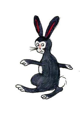 bunny