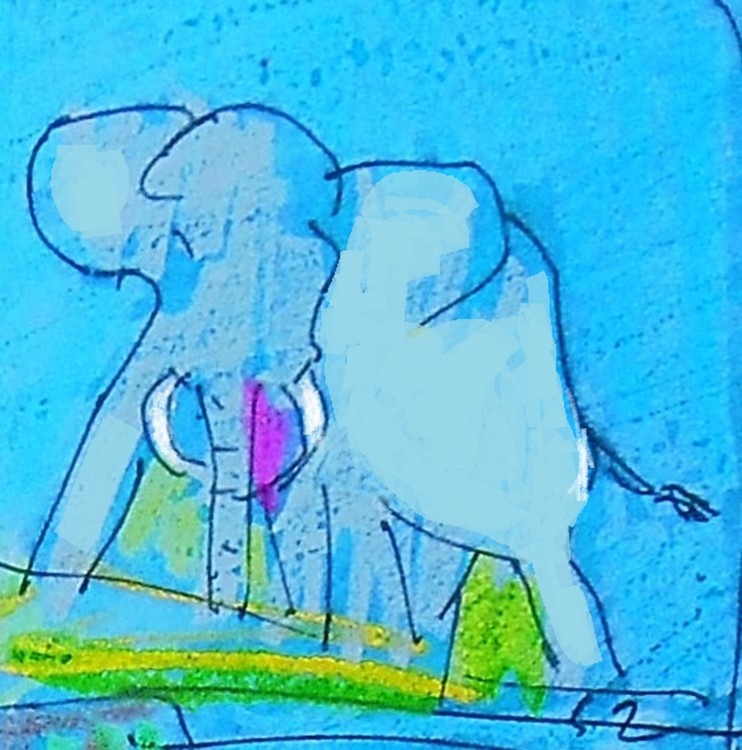Elephant