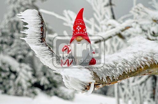 Snow elf on a branch