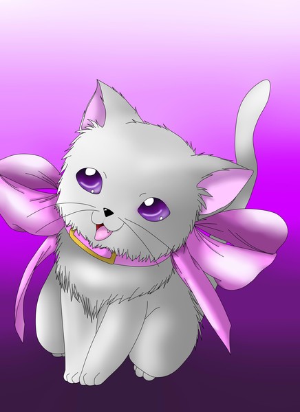 Kitten