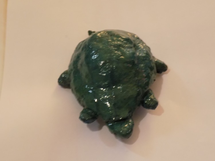 Green Sea Turtle