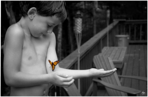 The Monarch