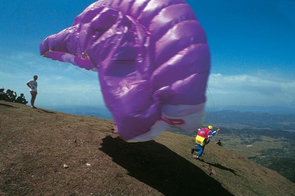 Paraglider