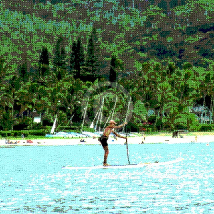 Paddle Hanalei