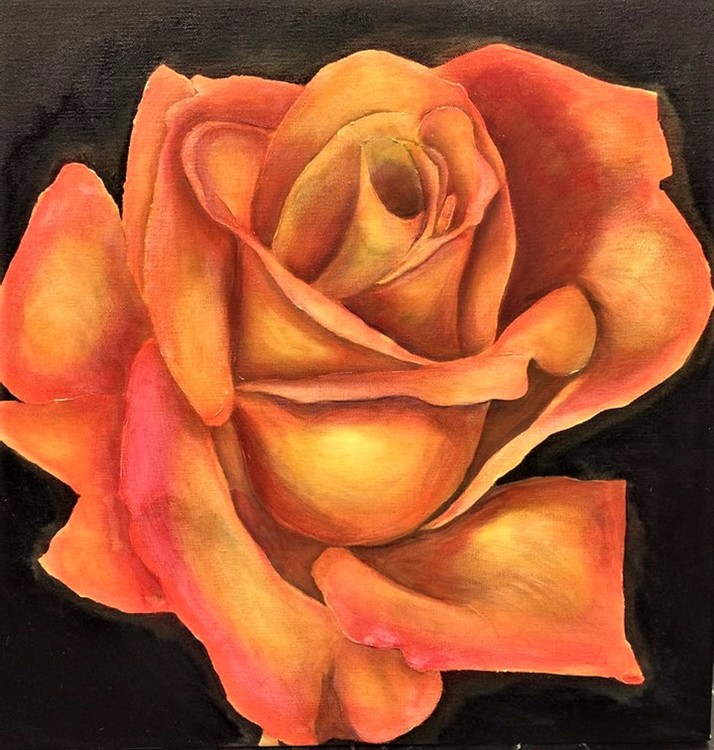 Rose portrait