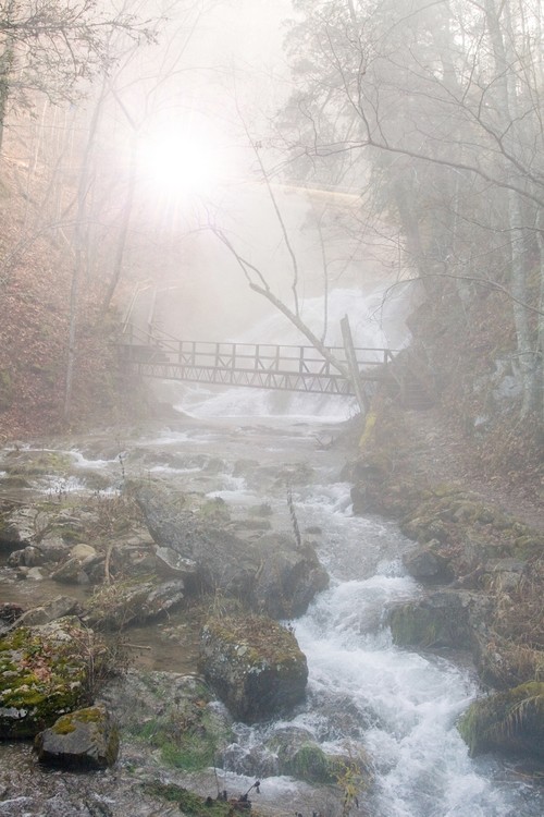 Bridge over Falls