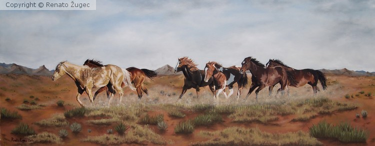 Wild Horses