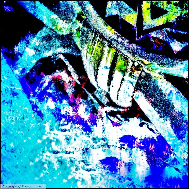 da_1019
