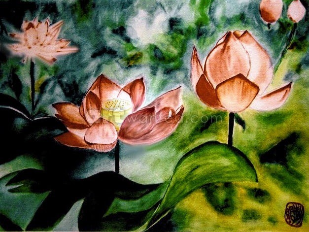 Lotus