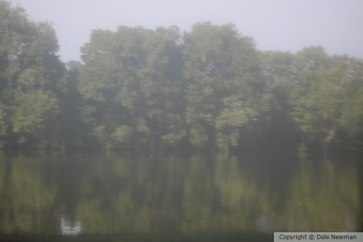 One Foggy Morning