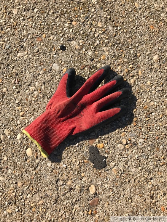Lost shadowy red Glove