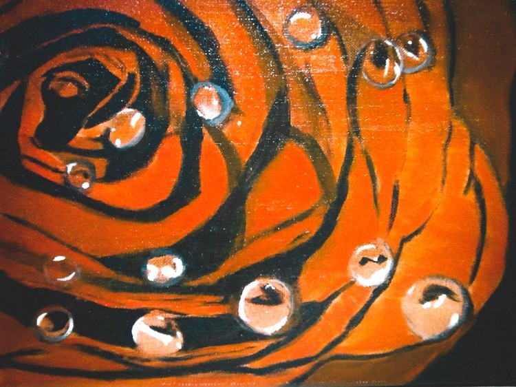 Only a rose