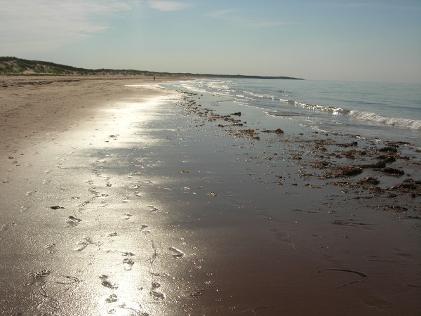 North Shore PEI