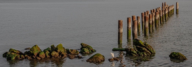 Old Pier Along the Strait - November1 2024