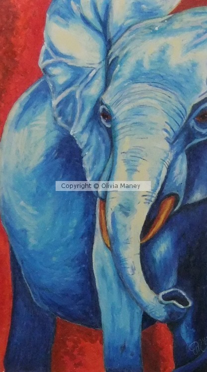 Blue Pachyderm