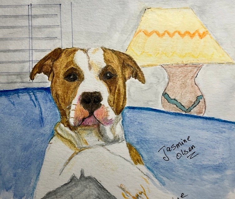 Portrait of a dog