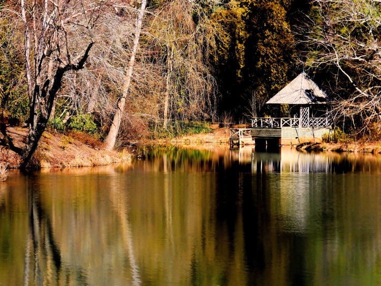 Atlanta Botanical Gardens