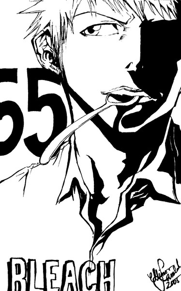 Bleach 55