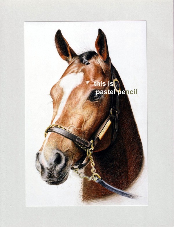 atswhatimtalkinbout (horse's name)