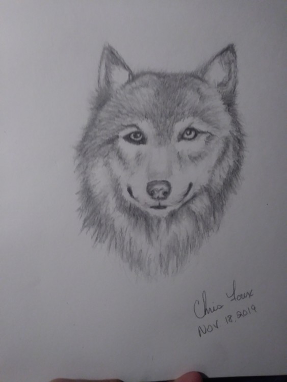 Wolf