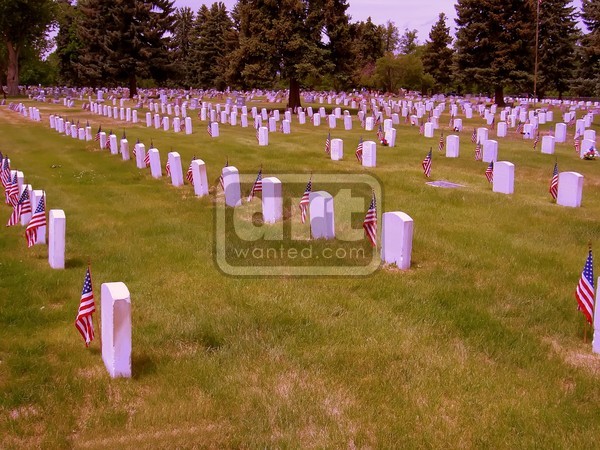 The Price of Freedom