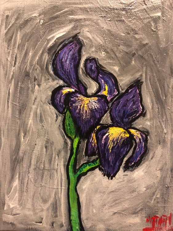 An Iris