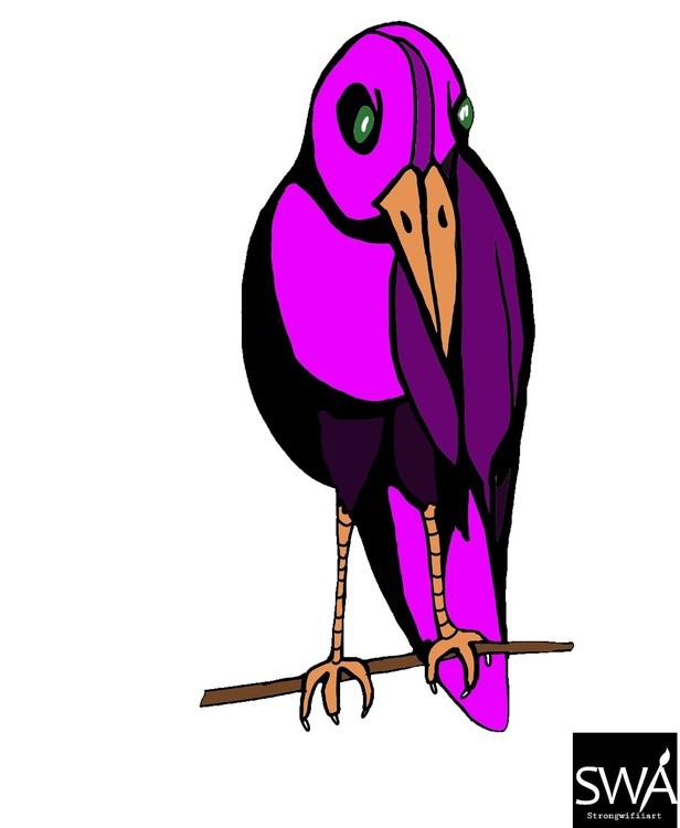 Unknown bird