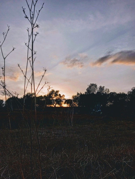 divine sunset 