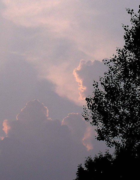 Dusk