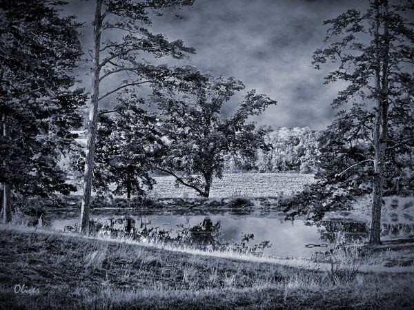 Late August Afternoon